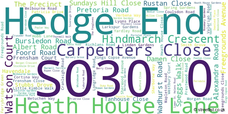 A word cloud for the SO30 0 postcode